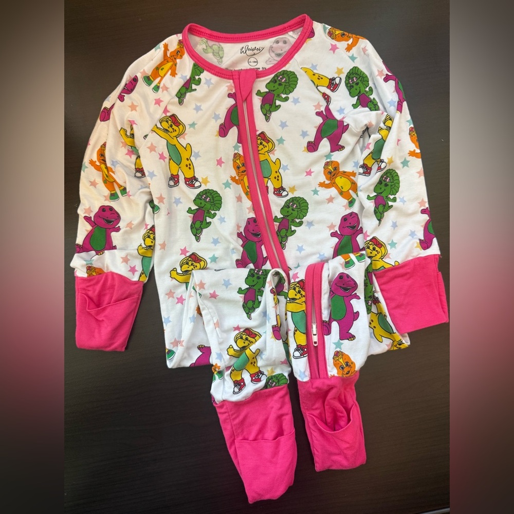 Barney and Friends Bamboo Zippy